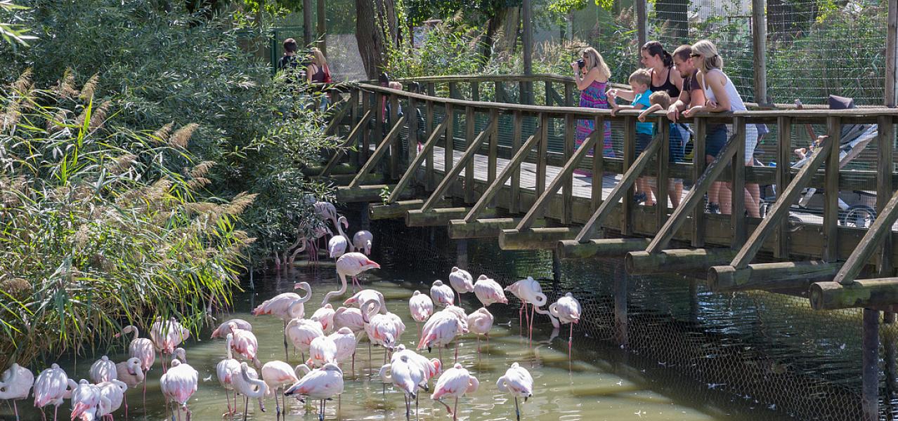 Jihočeská zoologická zahrada Hluboká