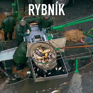 🐟 Rybářské slavnosti na Hluboké - Munický rybník…