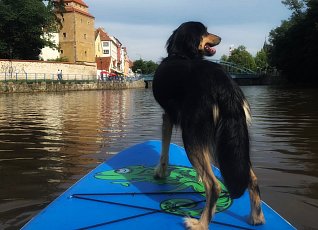 Paddleboarding is really for everyone