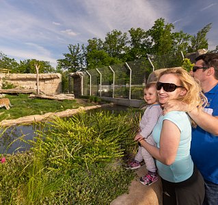 Jihočeská zoologická zahrada Hluboká