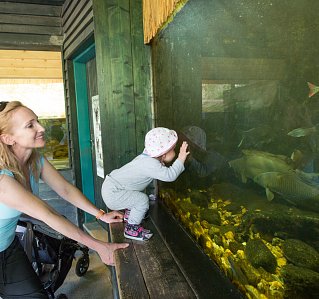 Jihočeská zoologická zahrada Hluboká