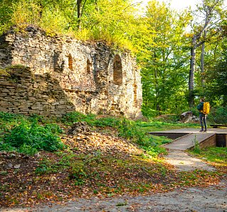 Charles castle