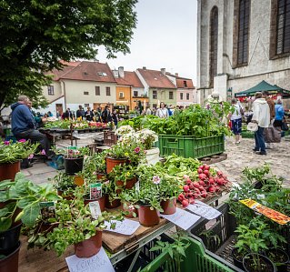 How and where to shop locally