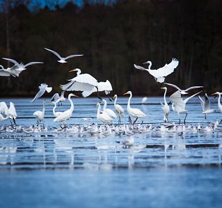 11 tipů na prodloužený rodinný víkend na Budějovicku
