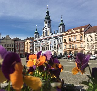 Holiday in South Bohemia