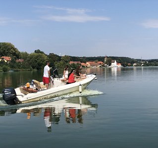 Cantieri Capelli 520