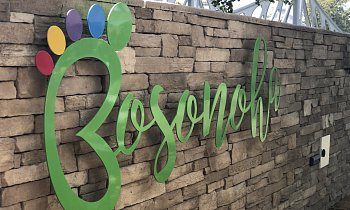 Around along the Vltava