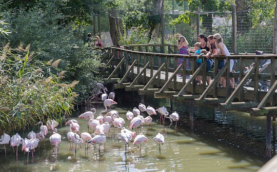 Südböhmischer Zoo Hluboká