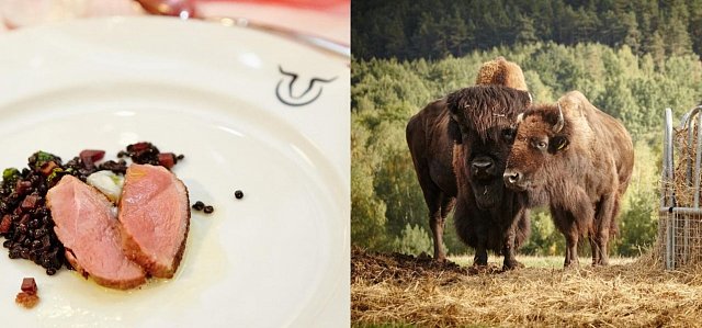 Budějovickem za gastronomií a pivem