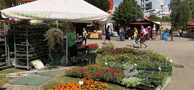 How and where to shop locally