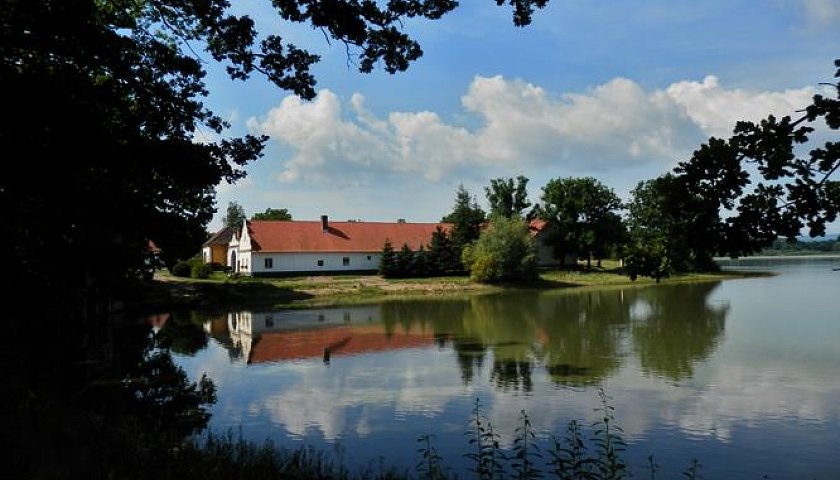 Výlov Vlhavského rybníka