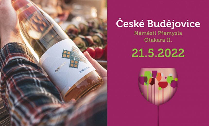 Vinný košt & festival chutí v Českých Budějovicích